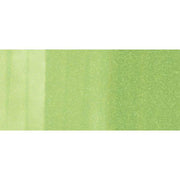 Copic Sketch G43-Pistachio
