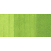 Copic Marker YG25-Celadon Green