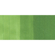Copic Ciao YG17-Grass Green