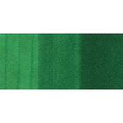 Copic Marker G19-Bright Parrot Green