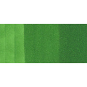 Copic Ciao G07-Nile Green
