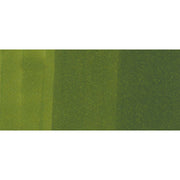 Copic Marker G29-Pine Tree Green