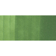 Copic Marker YG67-Moss