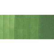 Copic Ciao YG67-Moss