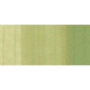 Copic Sketch G82-Spring Dim Green